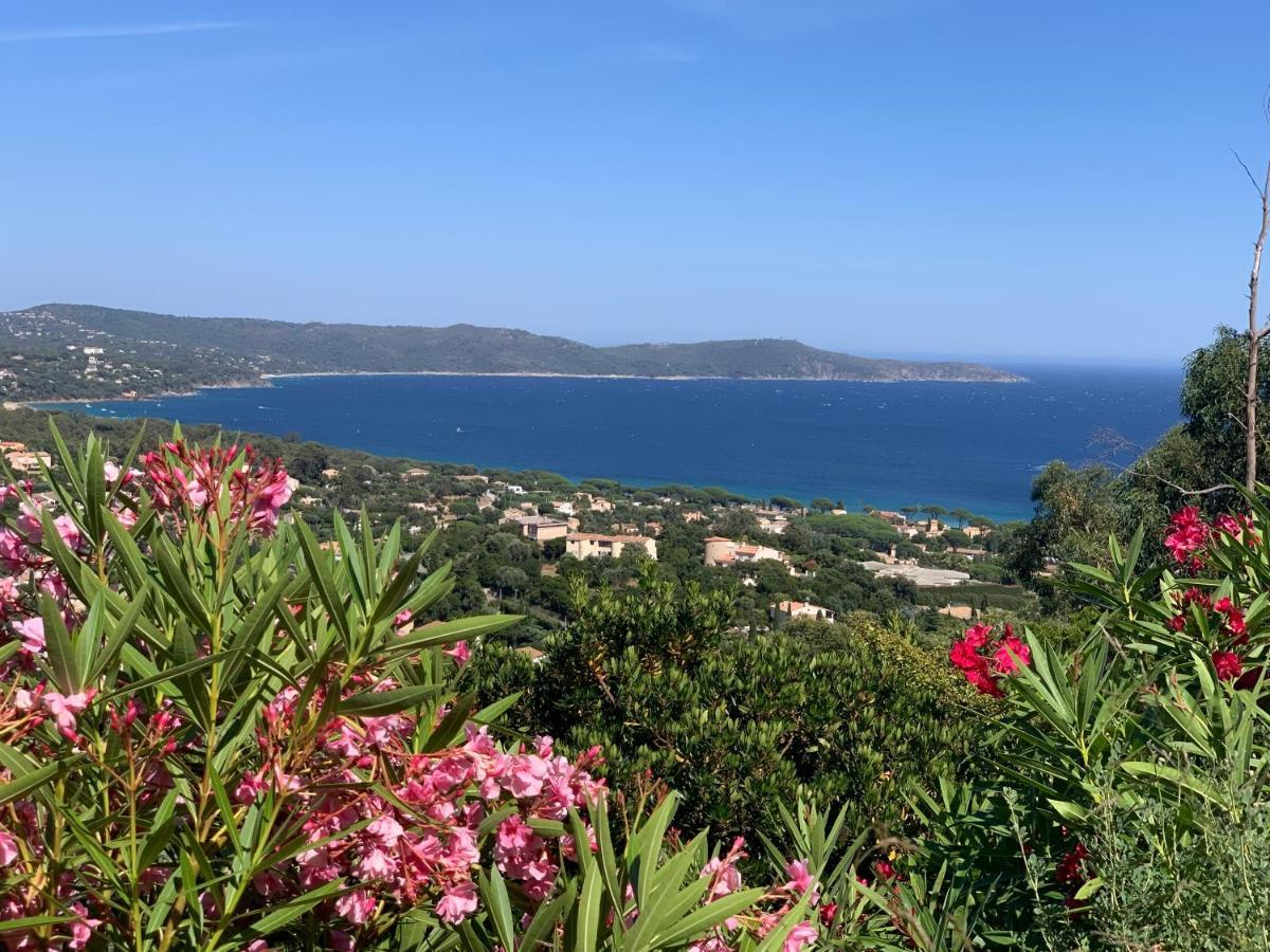 Villa Cacharelle Vue Mer Piscine キャバレール・シュル・メール エクステリア 写真